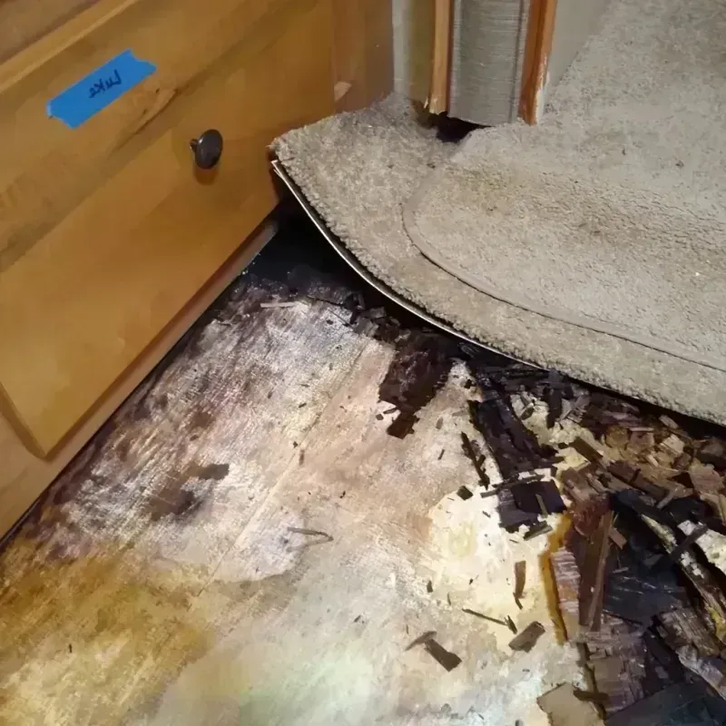 Wood Floor Water Damage in Taft Mosswood, CA